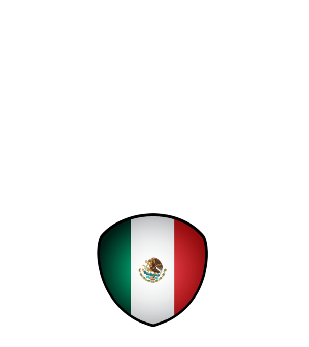 MEX-jabulani-flag model alb pe tricou
