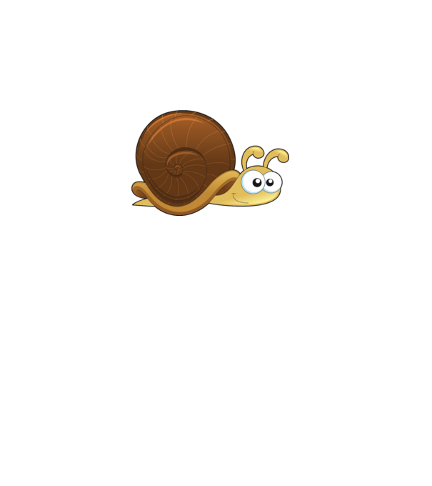 Snail model gri pe tricou