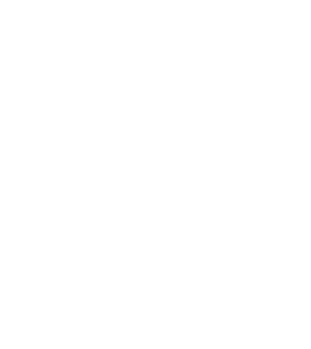 Alive since 1999 model negru pe tricou