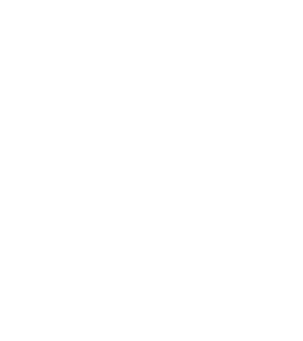 Crazy Cat Ladies are born in November model negru pe tricou