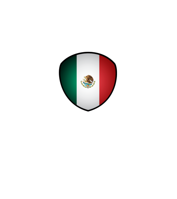 MEX-jabulani-flag model alb pe tricou