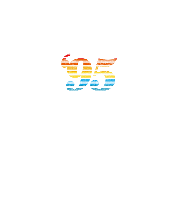 Retro Birthday 1995 model gri pe tricou