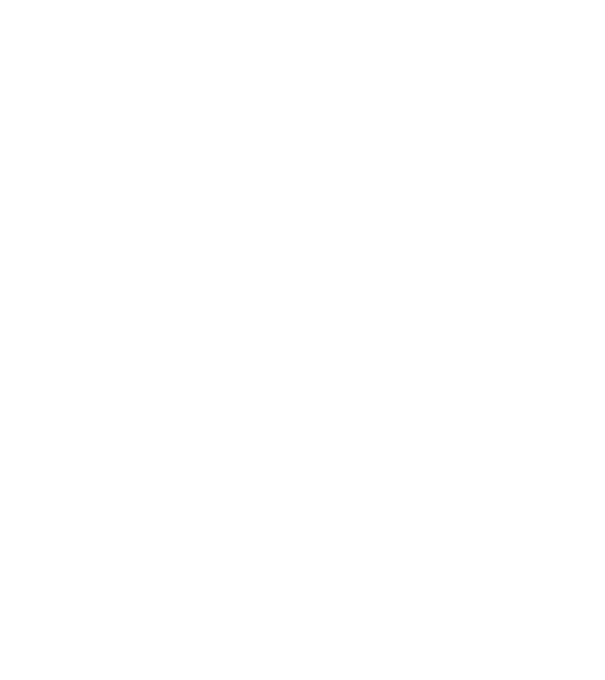 Vintage Dude - 10 model nisipiu pe tricou