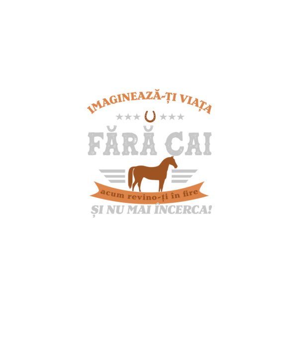 Imaginează-ți viața fără cai, acum revino-ți în fire și nu mai încerca! model negru pe tricou