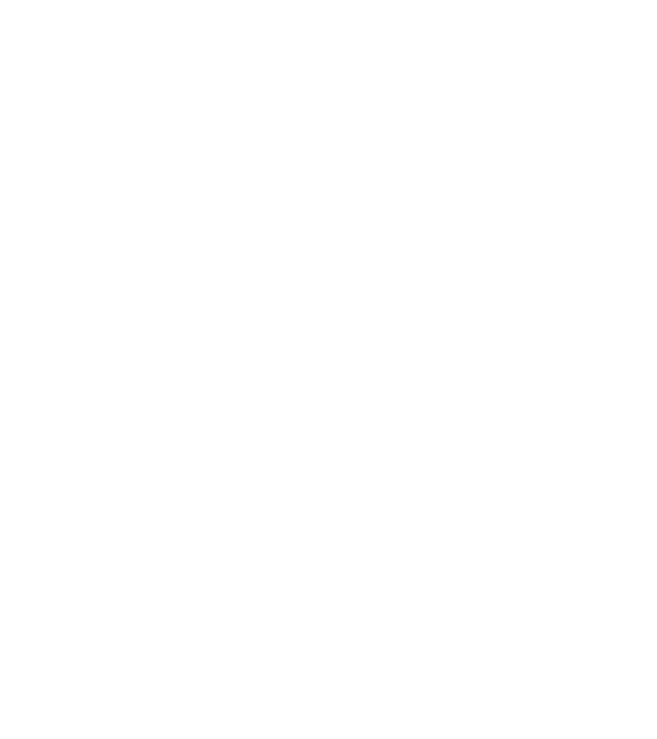 Așa arată un zugrav foarte chipeș model albastru regal pe tricou