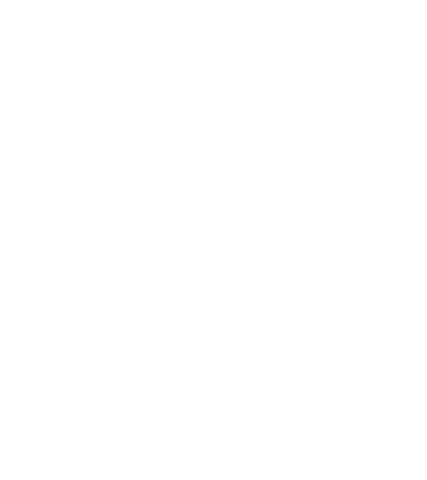 All men are created equal but only the best are born in november model negru pe tricou