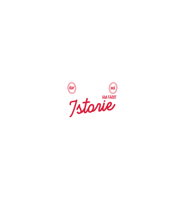 fiecare clasă - are - o istorie - Dar noi - am făcut - istorie! model gri pe tricou