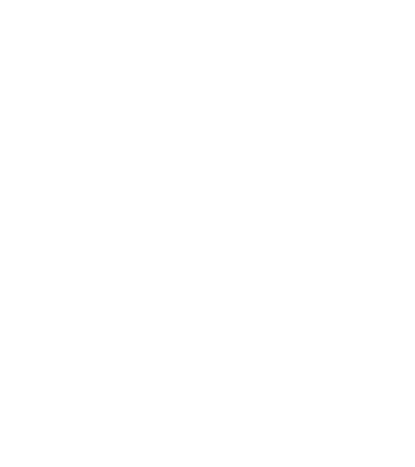 LOVE Boston Terrier model gri pe tricou