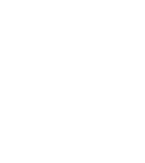 LOVE DOBBERMAN model gri pe tricou
