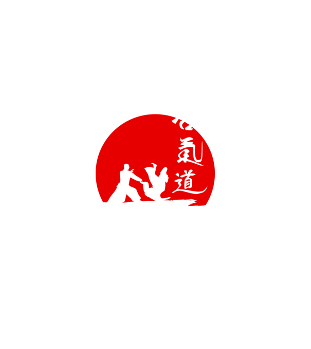 Aikido model negru pe tricou