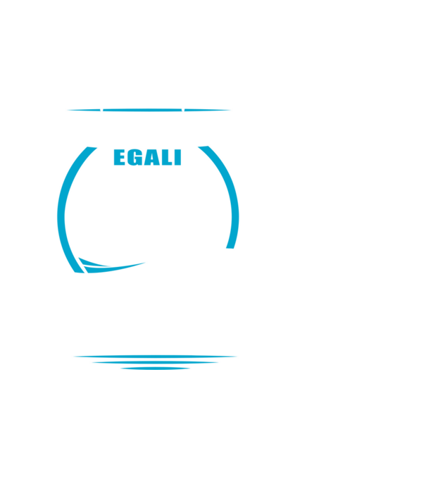 Toți bărbații se nasc egali camioane model negru pe tricou