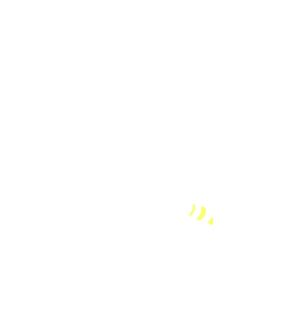 apicultor model negru pe tricou