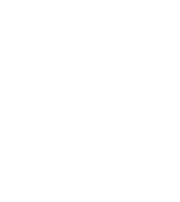 Mr. model negru pe tricou