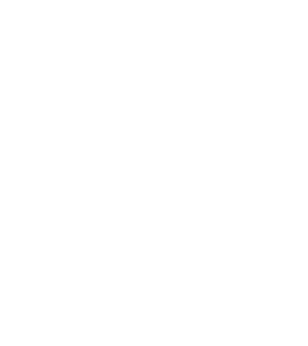 Regele - ceaunului! model negru pe tricou