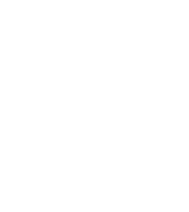Crazy Cat Ladies are born in September model gri pe tricou
