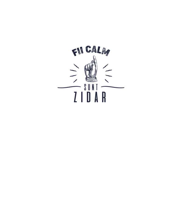 fii calm, sunt zidar model gri pe tricou