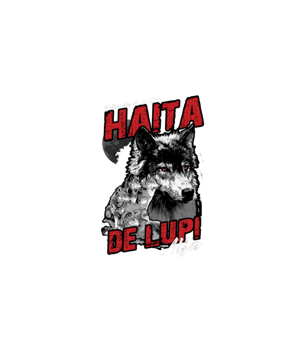 Petrecere de burlac - haită de lupi masculi alfa model negru pe tricou