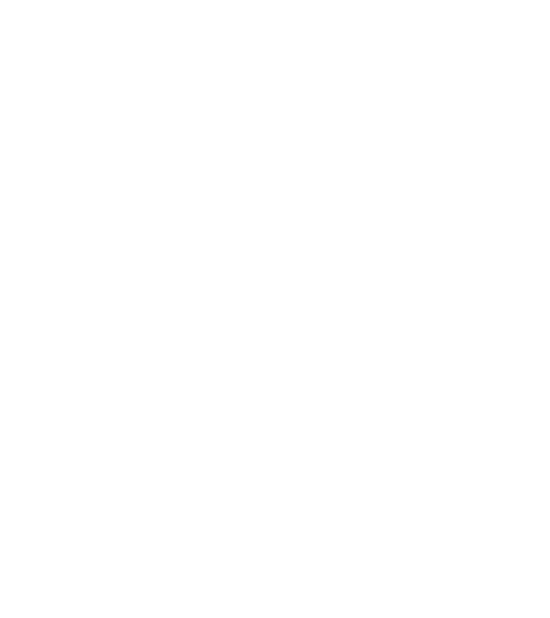 Mrs 2 model negru pe tricou