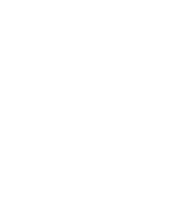 Crazy Cat Ladies are born in November model negru pe tricou