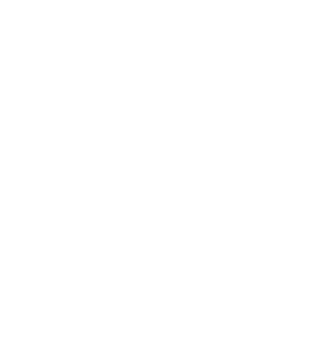 Crazy Cat Ladies are born in October model gri pe tricou