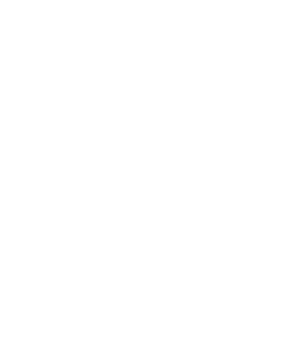 LOVE VIȘLĂ model negru pe tricou