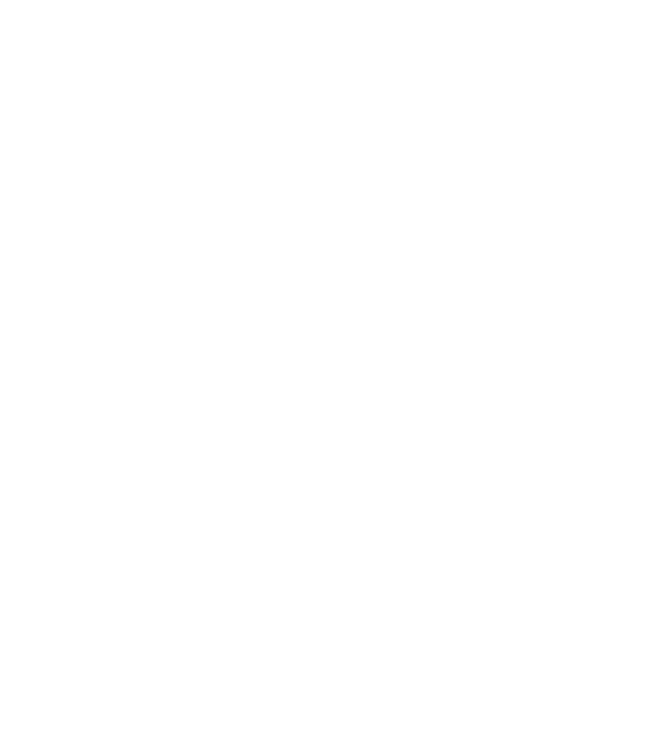 LOVE Border Collie model negru pe tricou
