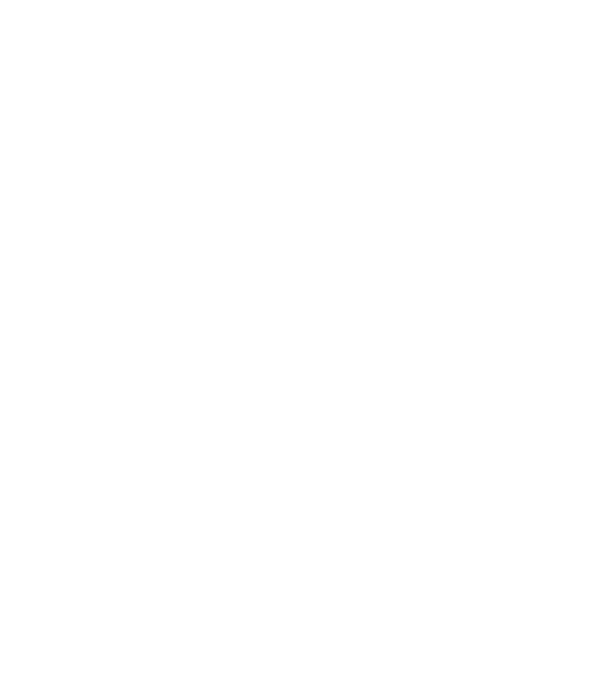 LOVE Husky model gri pe tricou