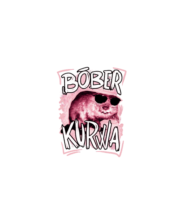 Bóber wtf model negru pe tricou