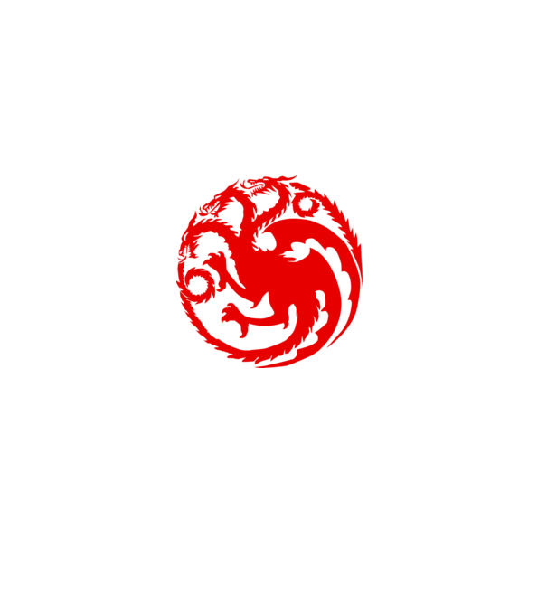 Targaryen model gri pe tricou
