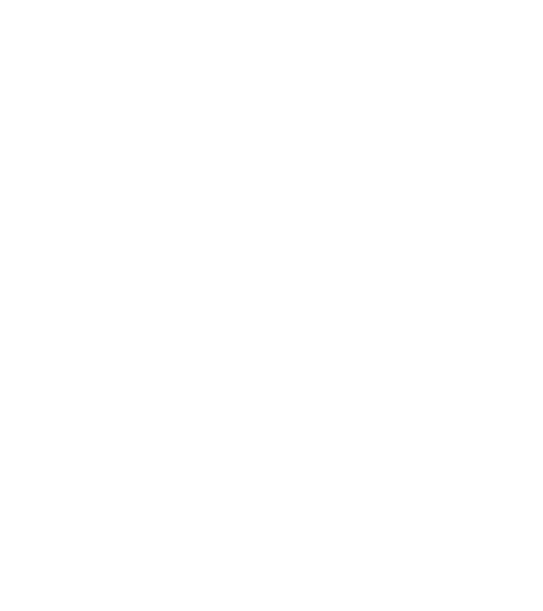 Mr. model negru pe tricou