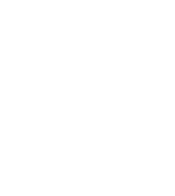 Nimeni nu e perfect, dar șoferii de dube sunt foarte aproape model negru pe tricou