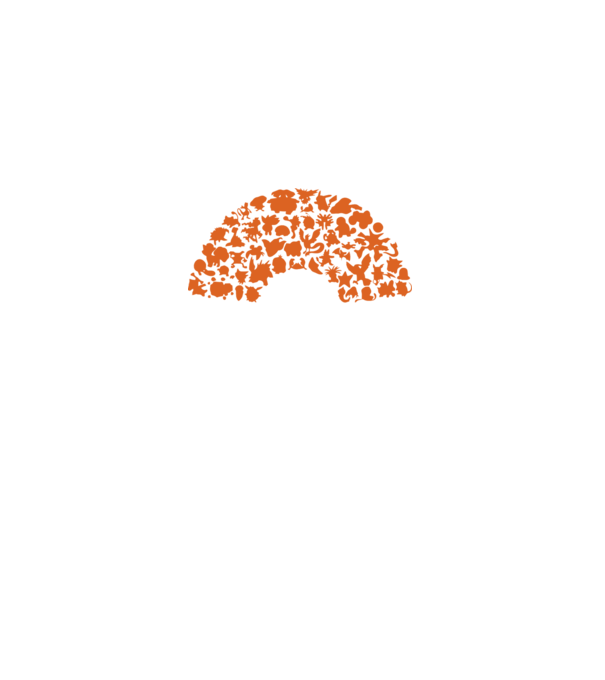 Pokeball model negru pe tricou
