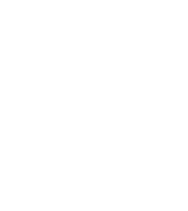 Mr. model negru pe tricou
