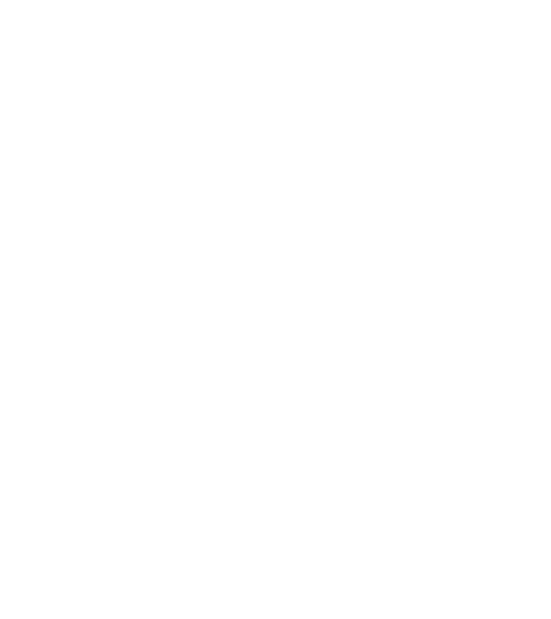 Așa arată un APICULTOR foarte chipeș model negru pe tricou