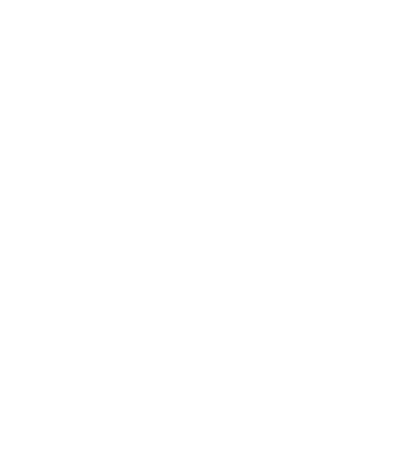 nu. tot nu sunt căsătorită. model negru pe tricou