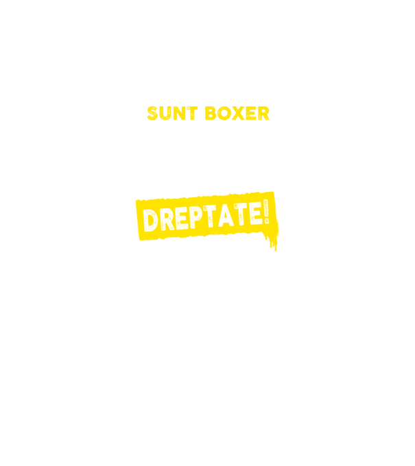 sunt boxer - pentru a economisi timp, să reținem că am întotdeauna dreptate model negru pe tricou