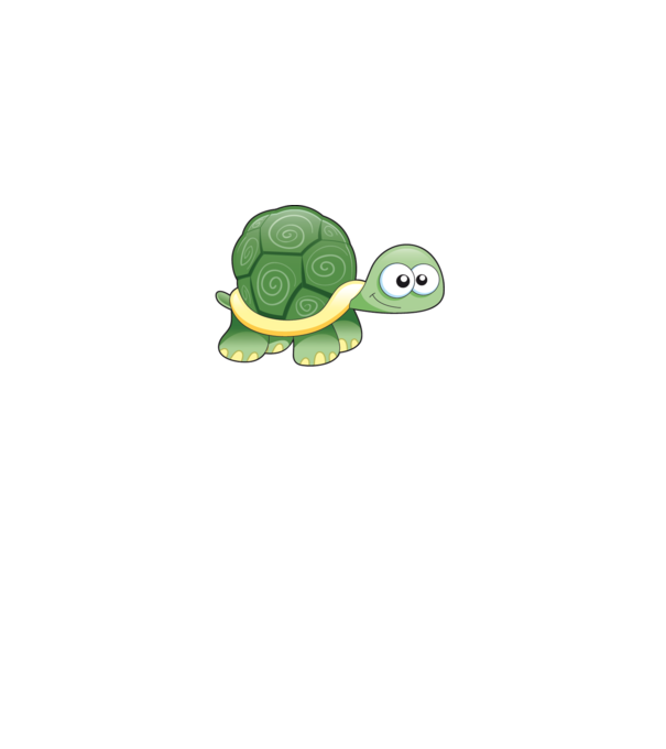 Turtle model gri pe tricou