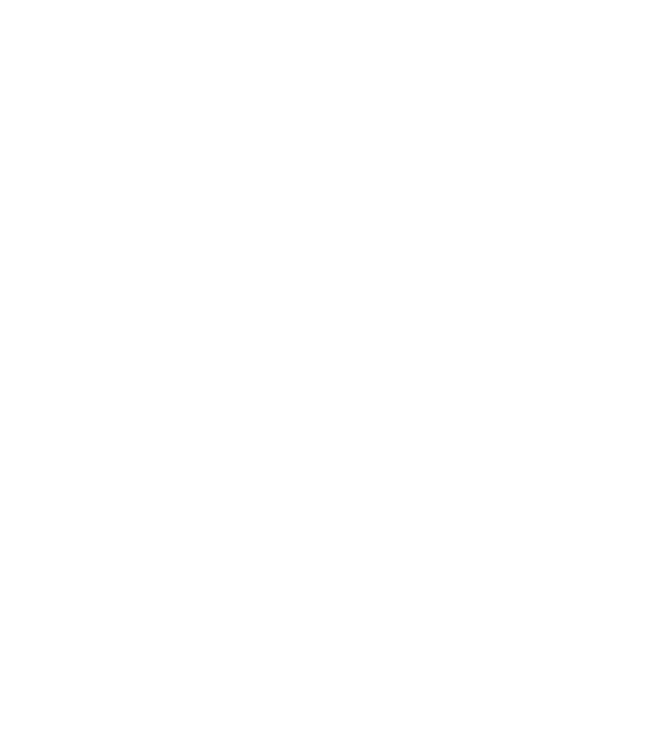 I do my own stunts model negru pe tricou