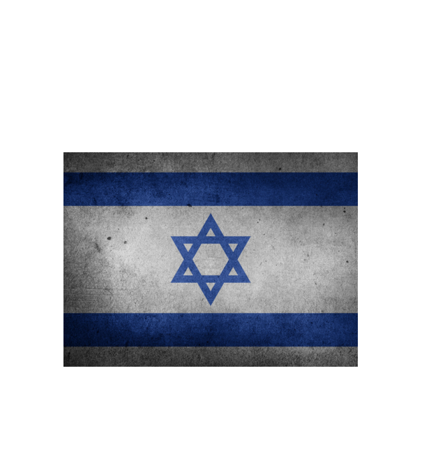 ISRAEL model alb pe tricou