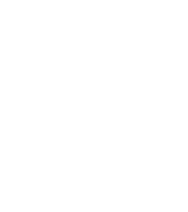Camion 2. model alb pe tricou