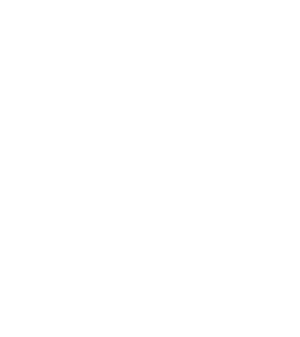 LOVE Staffordshire Terrier model negru pe tricou