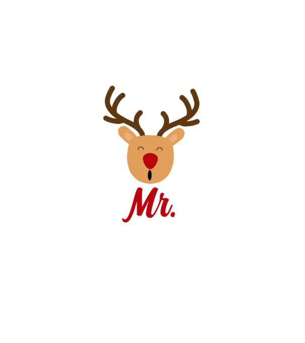 Mr. Reindeer Christmas couple model albastru deschis pe tricou