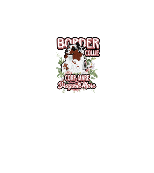 border collie - multă blană multă dragoste model alb pe tricou