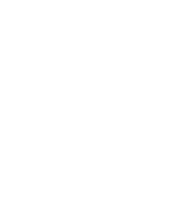 Programmer model verde pe tricou