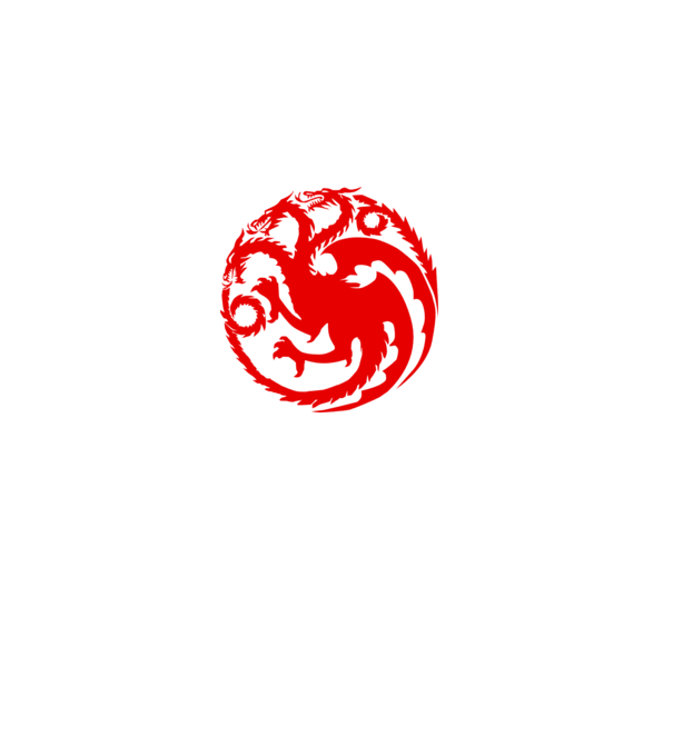 Targaryen model gri pe tricou