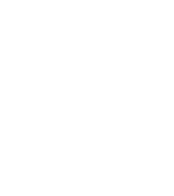 demodog logo model turcoaz pe tricou