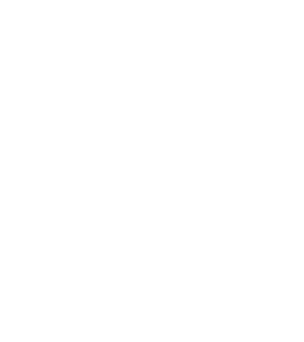 nimeni nu e perfect, dar stăpânii de chivava sunt foarte aproape model negru pe tricou