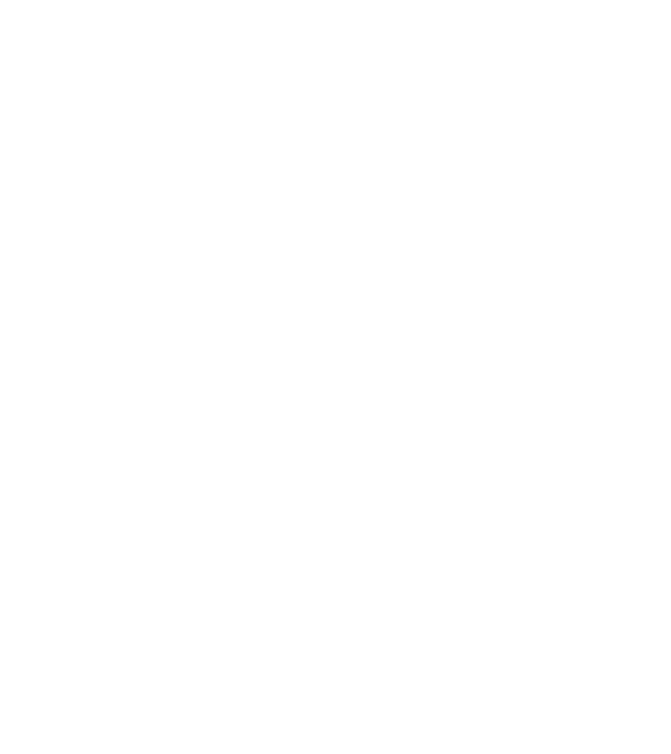 EarthLogo model negru pe tricou