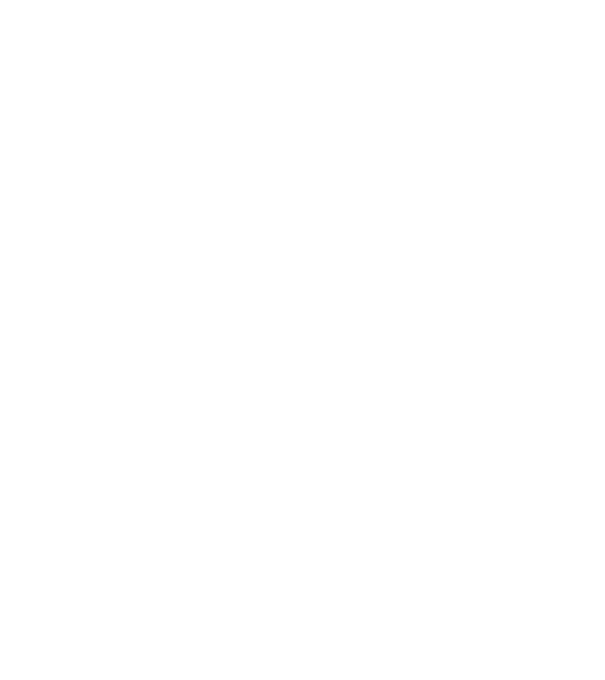 Așa arată un stăpân de Havanese foarte chipeș model negru pe tricou