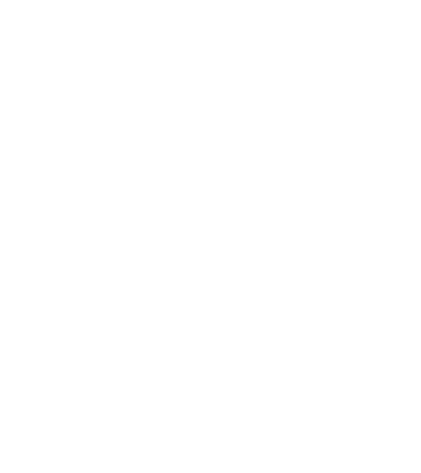 chitară evolution model negru pe tricou